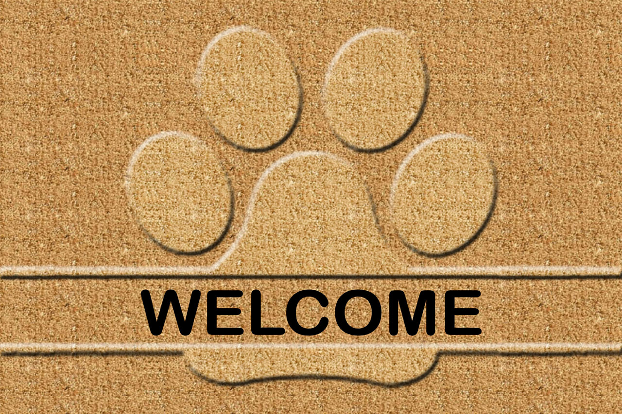 coir products manufacturers in kerala